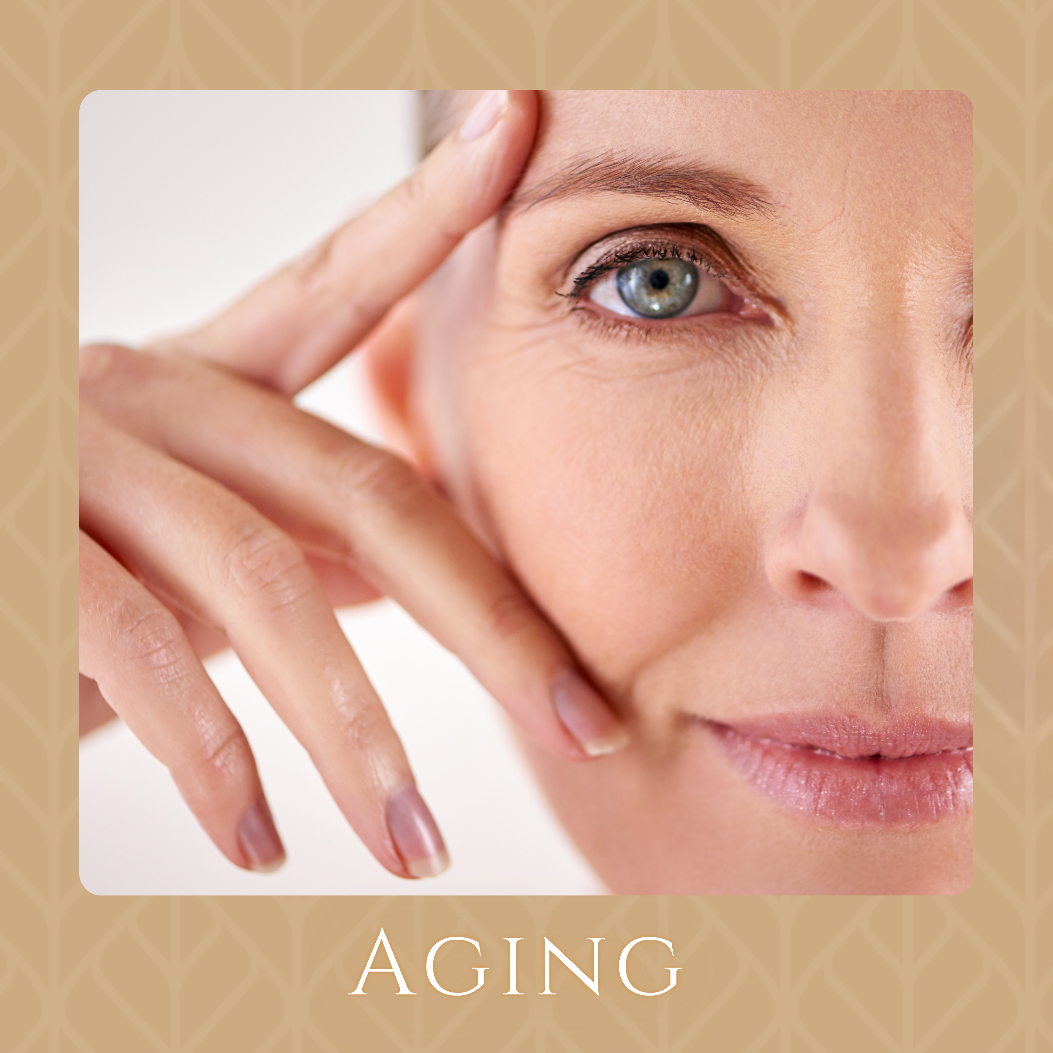 Aging